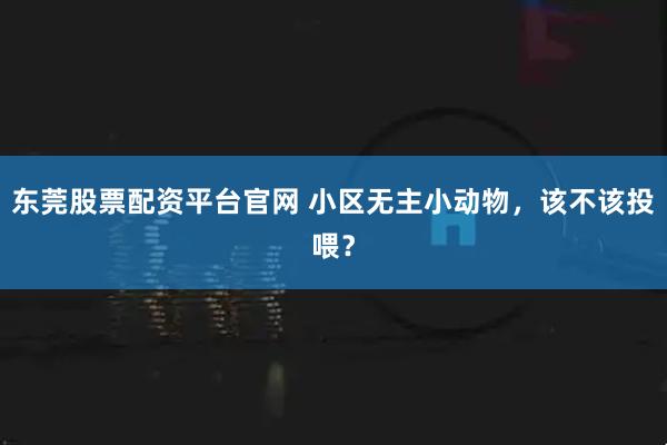 东莞股票配资平台官网 小区无主小动物，该不该投喂？